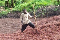 /album/www-kqe-ch/screenshot-04-08-004-jpg/